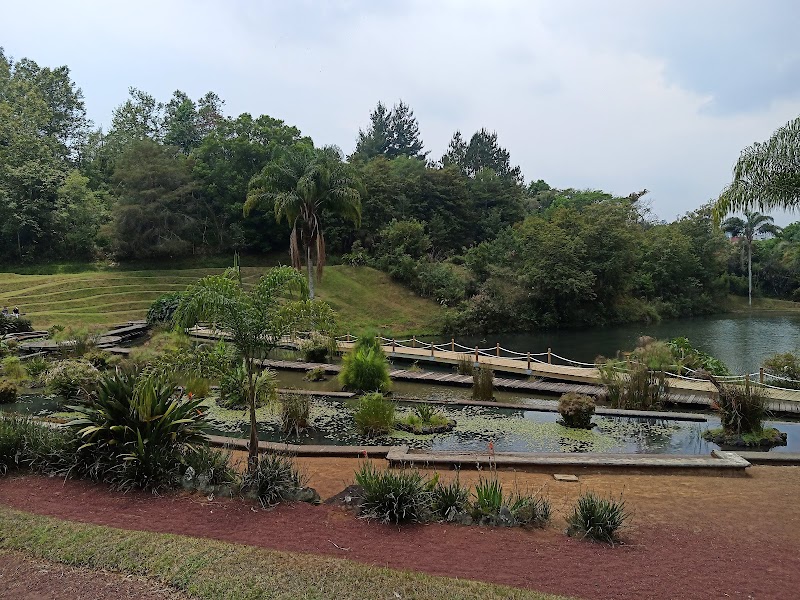 USBI Xalapa tennis club