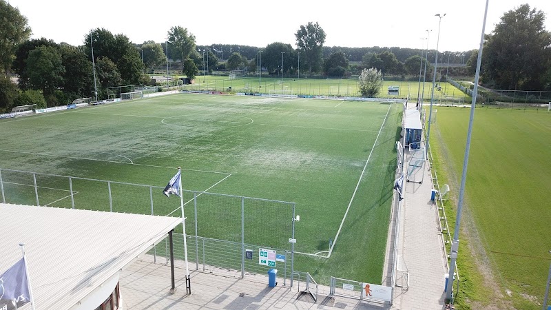 Pelikaan