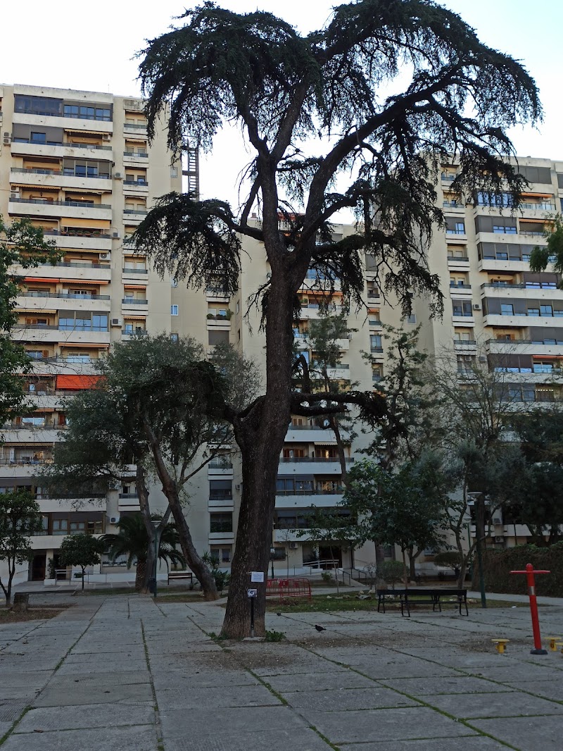 Urbanización El Bosque tennis club in Jerez de la Frontera