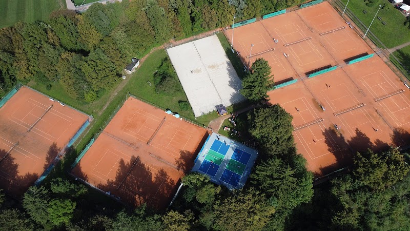 Tennis-Club Markwasen e.V.