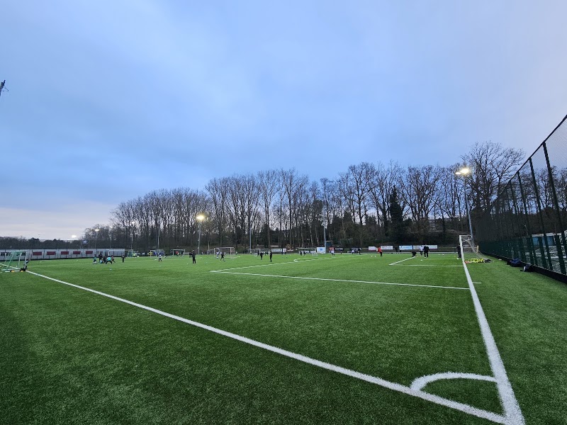 Stade Fallon