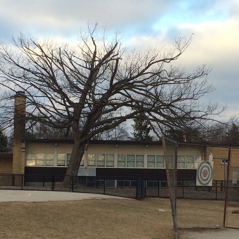 Mineola Public School