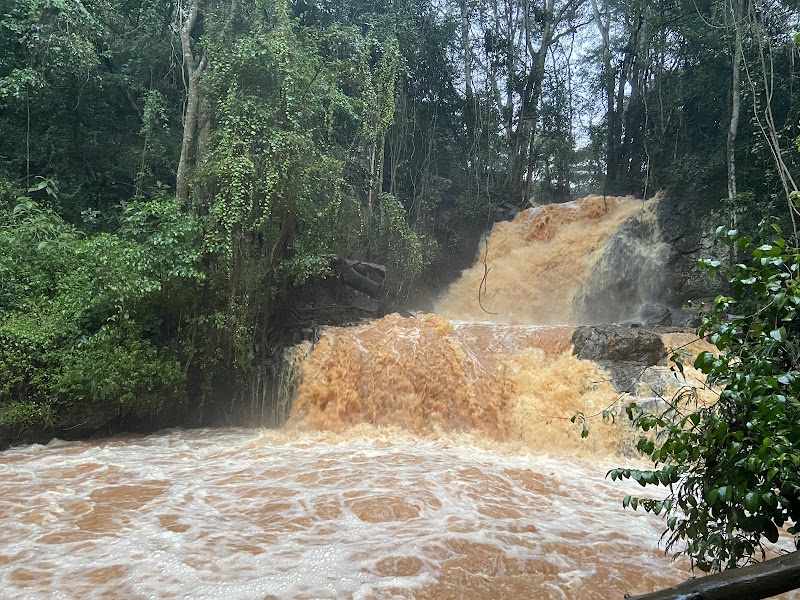 Karura Forest Gate A
