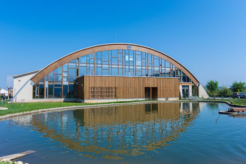 Tenis Arena in Braşov