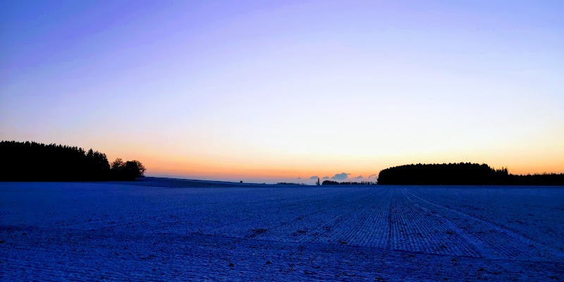 TSV Alling