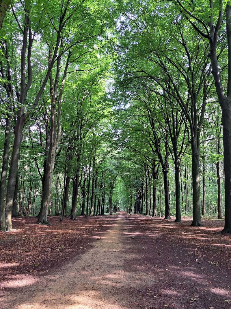 De Dreef in Herentals