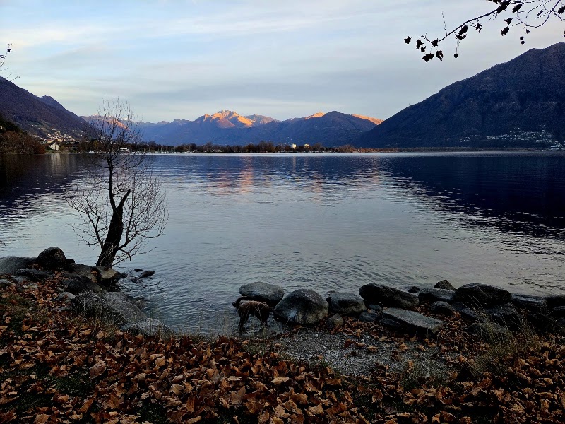 Ascona-Locarno Turismo in Locarno