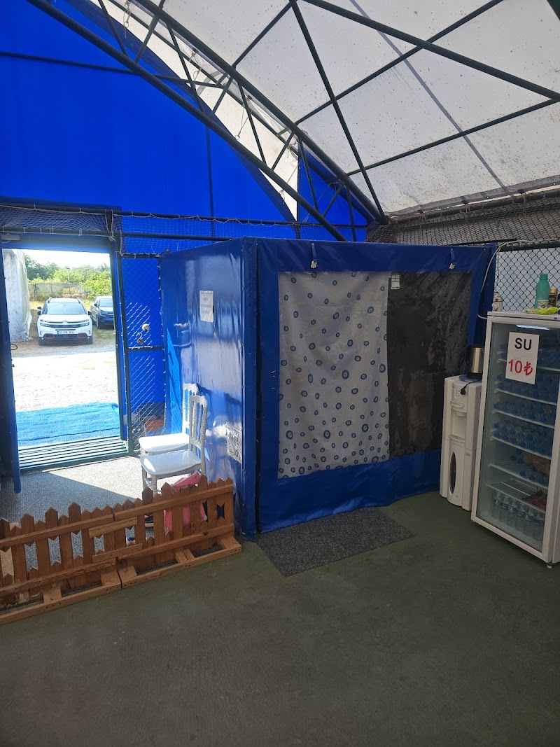 Bafra tenis spor kulübü in Bafra
