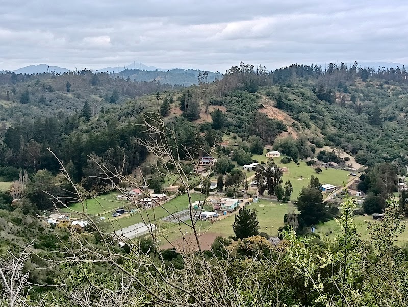Melosilla in Viña del Mar