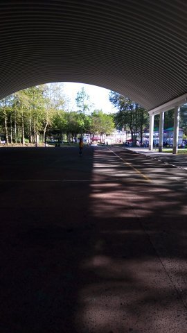 Diego Leño in Xalapa de Enríquez