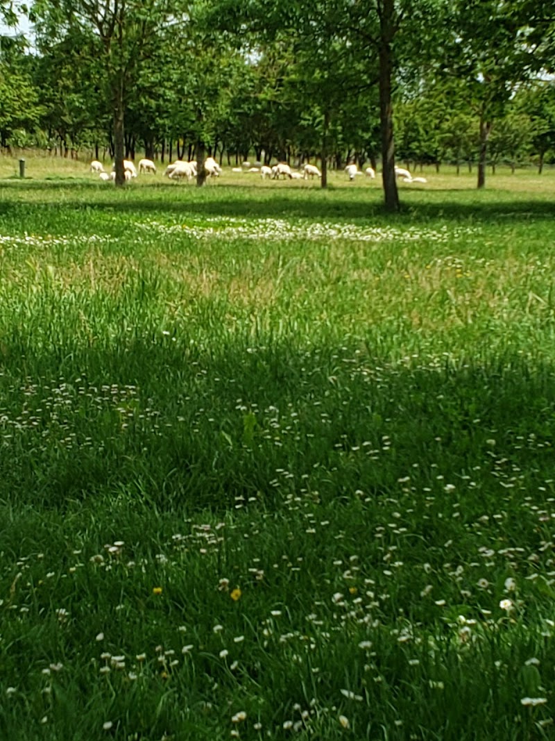 Zone verte des Argoulets in Toulouse