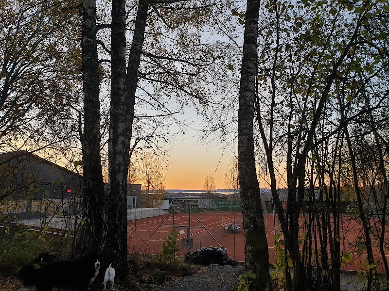 Vestre Bærum Tennisklubb