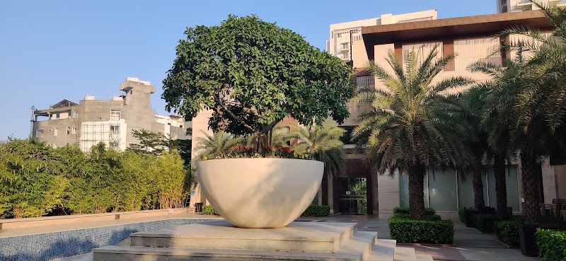 DLF THE PRIMUS tennis club