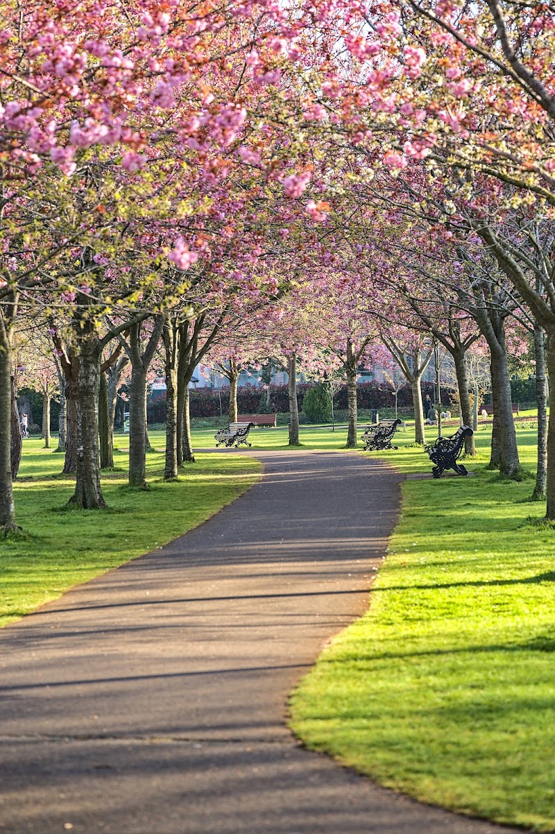 Herbert Park tennis club in Dublin