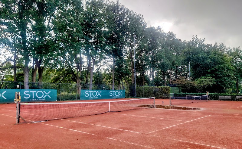 Tulip Tennisvereniging Hilversum