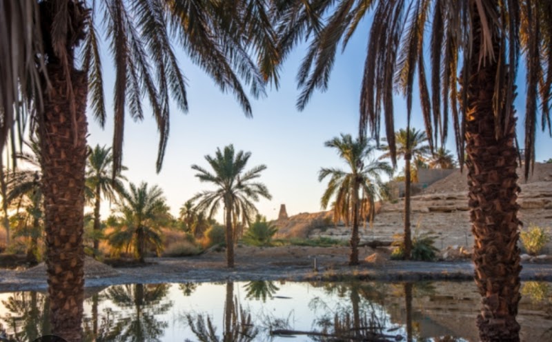 Wadi Hanifah Park tennis club in Wadi Hanifah Street