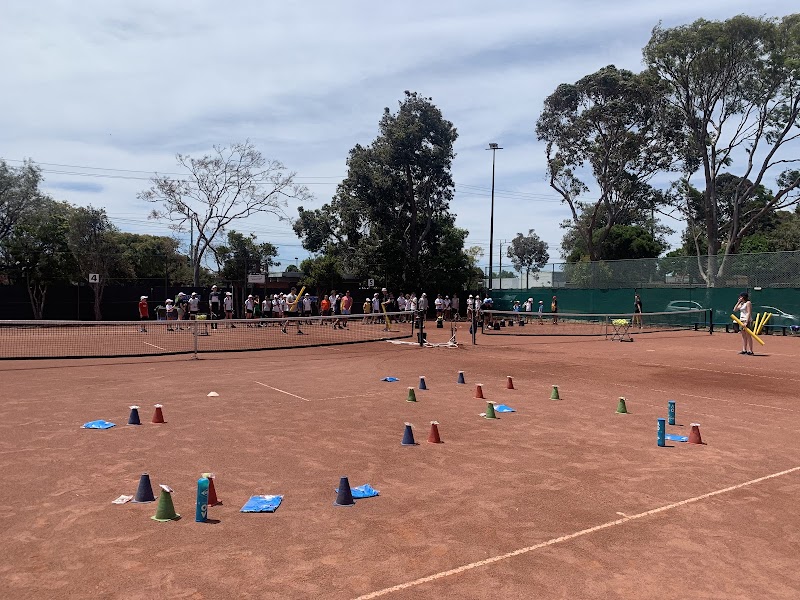 Mentone Tennis Club tennis club