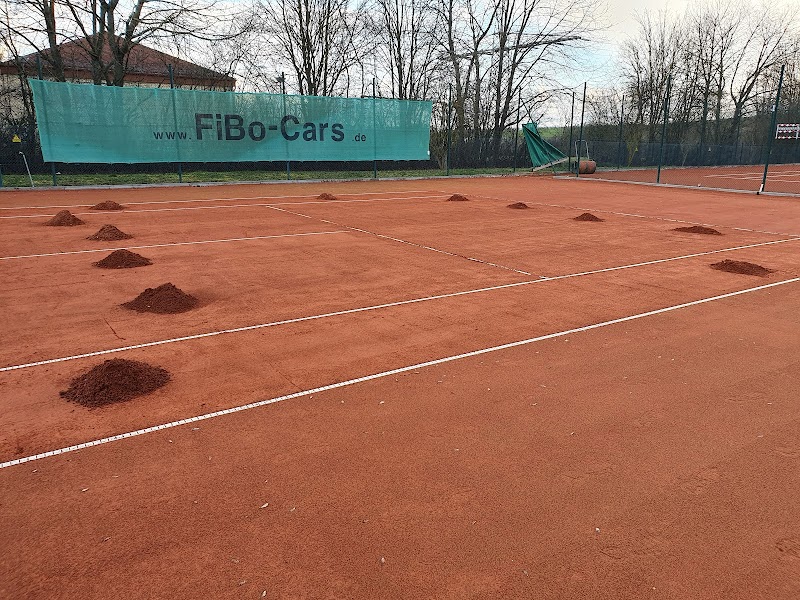 TC Wöllstein tennis club in Wöllstein
