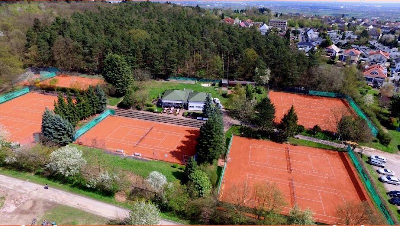 TC Diedenbergen 71 e.V. tennis club in Hofheim am Taunus