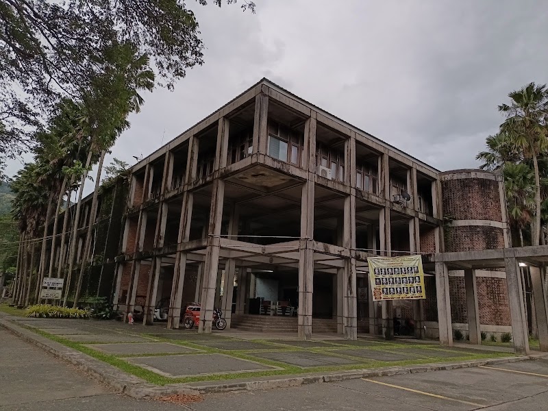 Don Mariano Marcos Memorial State University - North La Union Campus tennis club in La Union