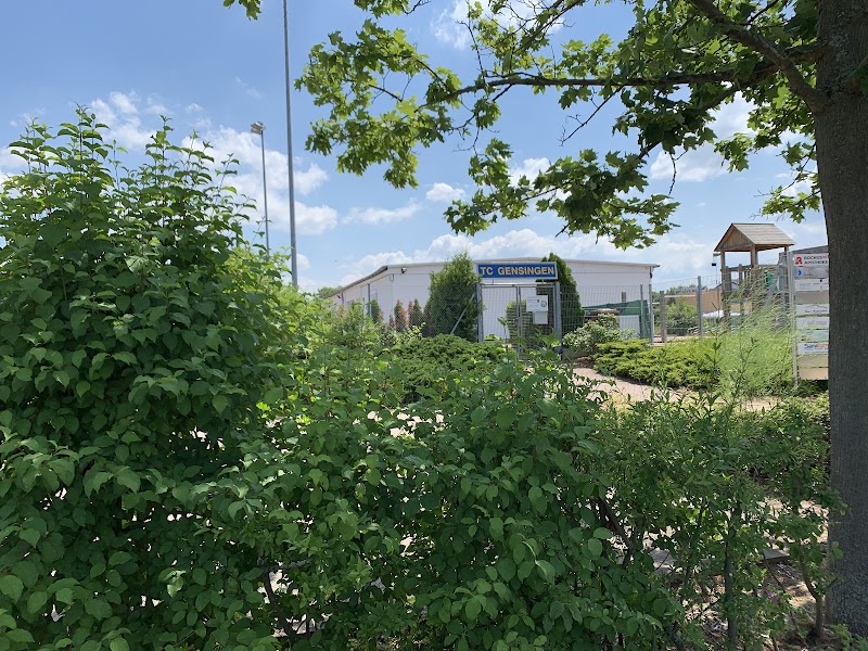 TC Gensingen e.V.