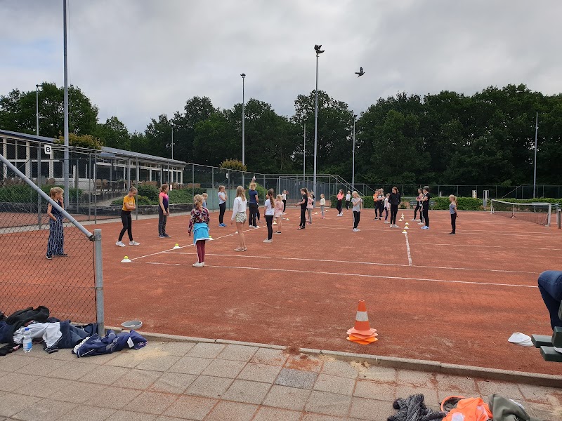 Tennisclub De Harremaat tennis club in Voorthuizen