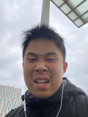 Michael Wijaya