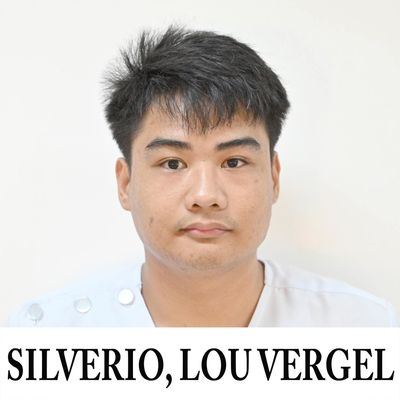 Lou Vergel Silverio